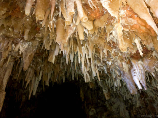 鍾乳洞