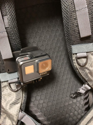 クリップの写真